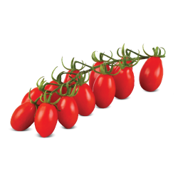 Cherry-Tomato-Luciplus