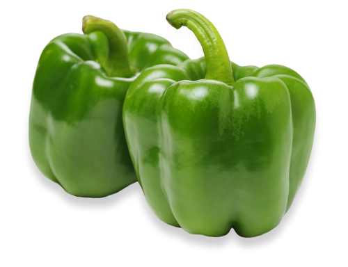 Green-Bell-Pepper-hero@2x