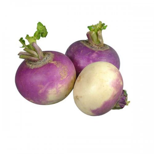 turnip