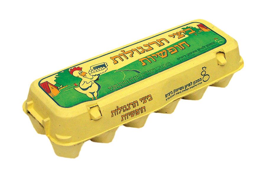 ביצי חופש 12 - ליצ'י מרקט