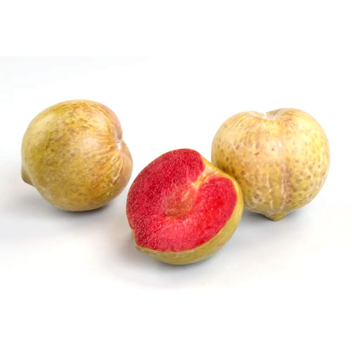 שזיחף