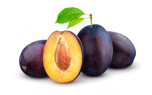 שזיף שגיב