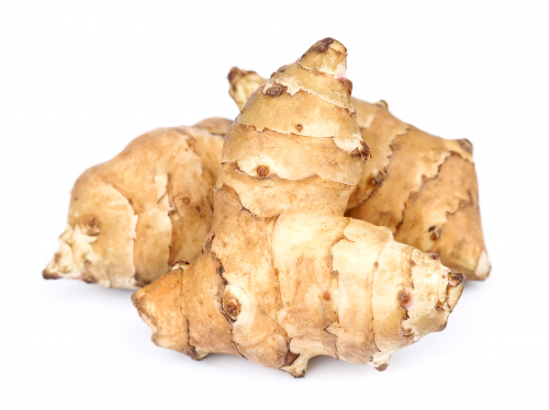 Jerusalem artichoke (1)