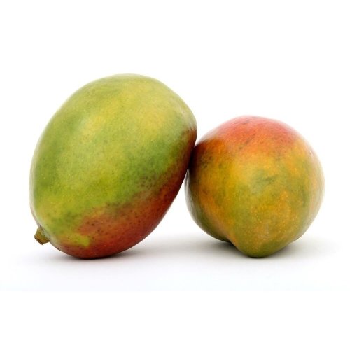 0006943_eden-tree-mangoes