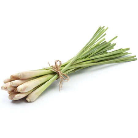 LemonGrass