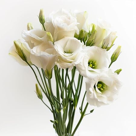 61viXLuPcsL._AC_SY450_
